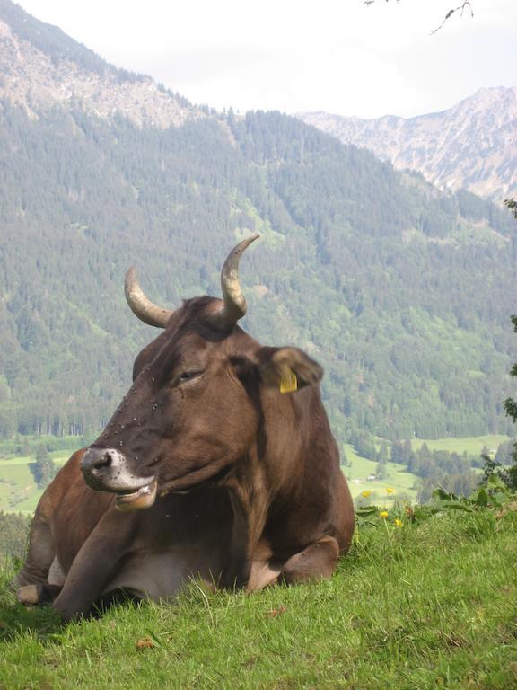 Appartement Brunner Fischen im Allgaeu